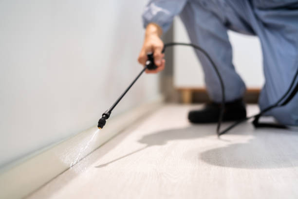 Licensed Cockroach Control service in Jefferson City, MO - Nex Pest Control