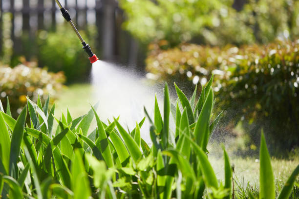 24/7 Emergency Cockroach Control experts in Jefferson City, MO