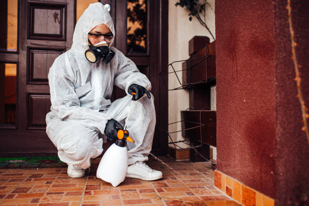Reliable Cockroach Control contractor in Jefferson City, MO by Nex Pest Control